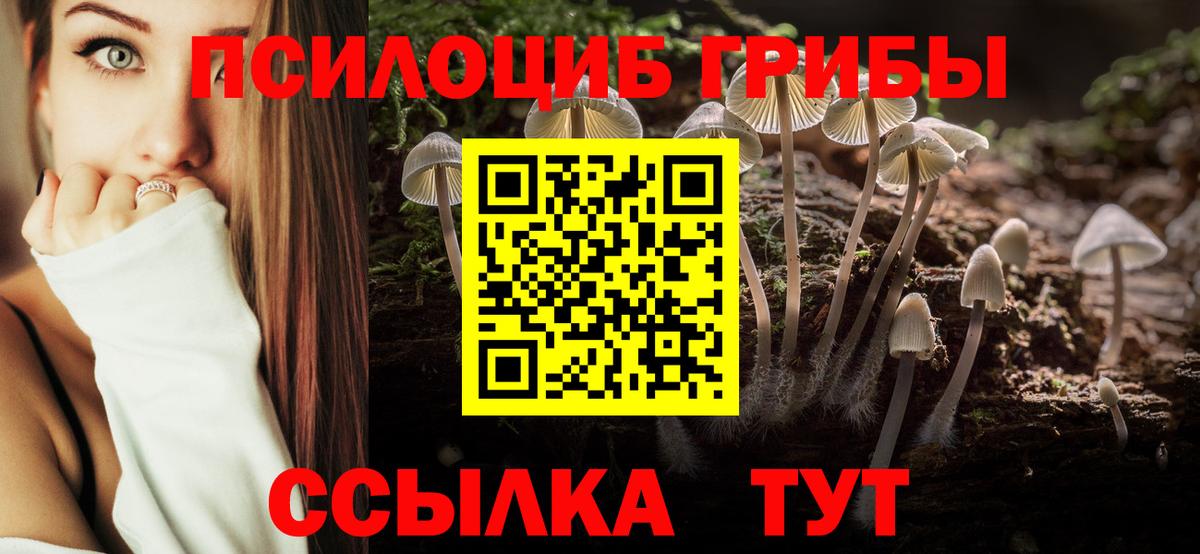 Псилоцибиновые грибы Cubensis Анжеро-Судженск