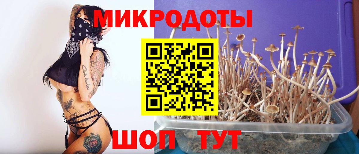Галлюциногенные грибы MAGIC MUSHROOMS  Вход с VPN  Анжеро-Судженск  Псилоцибиновые грибы прущие грибы 